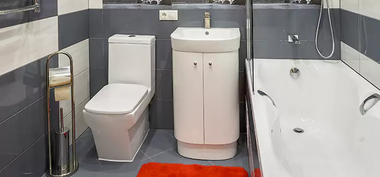 Hansgrohe Shaving Mirror Atwater